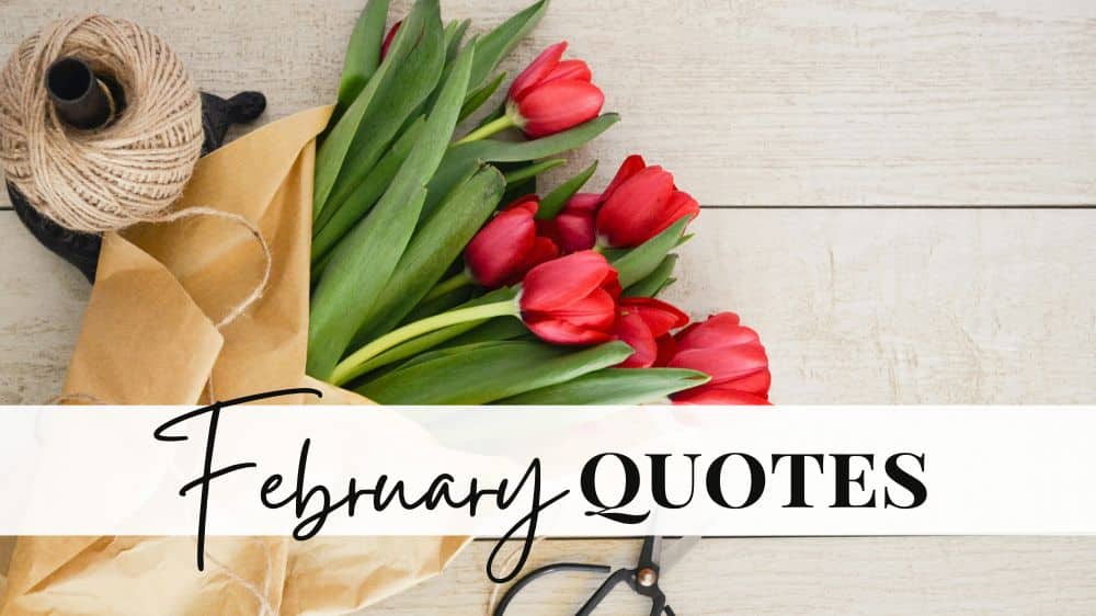 inspirational quotes for february